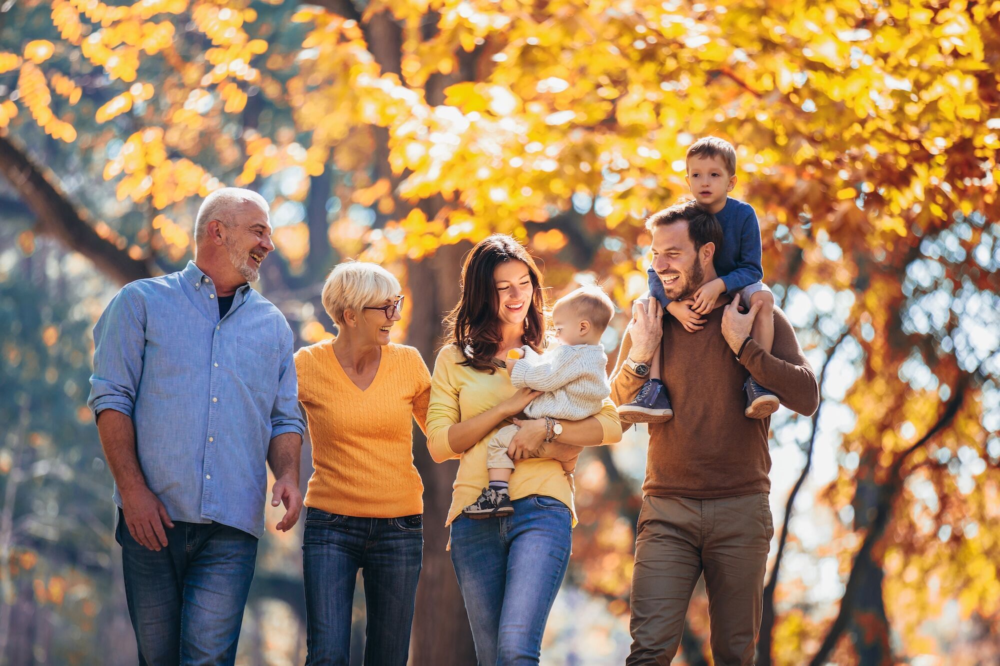 A family walking in the forest.