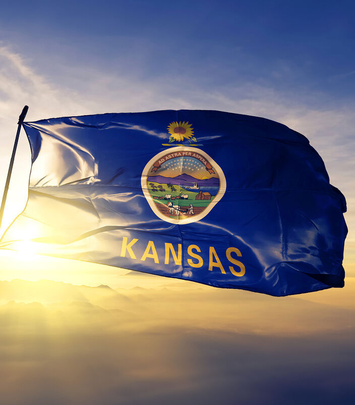The Kansas flag.